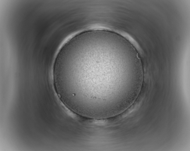 X0000116001191200911251054