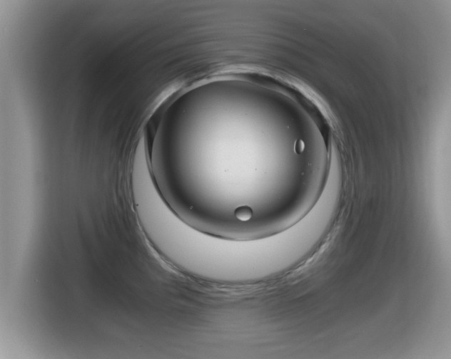 X0000116001193200911251054