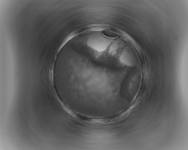 X0000116001194200911251054