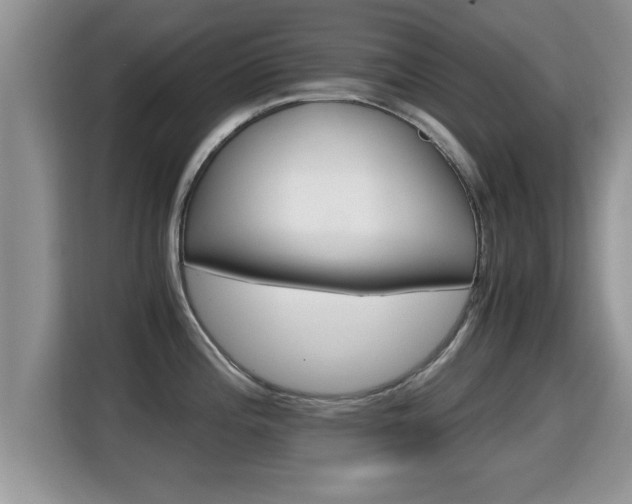 X0000116001196200911251054