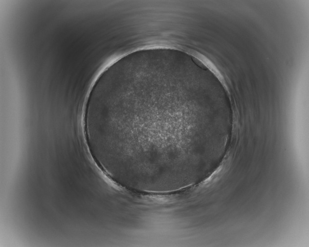 X0000116001197200911251054