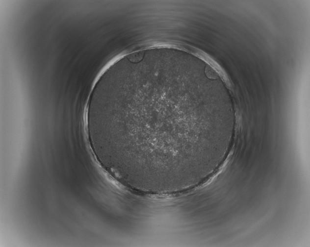 X0000116001198200911251054