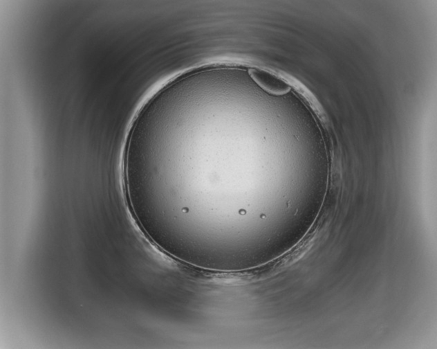 X0000116001199200911251054