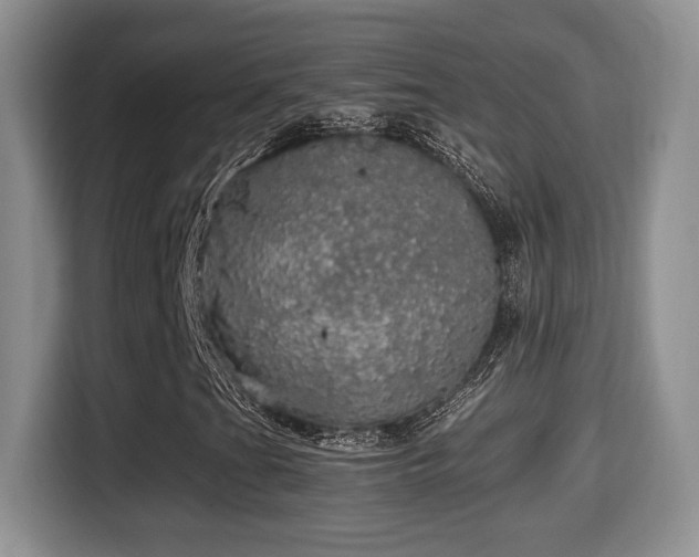 X0000116001201200911251053