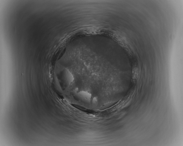 X0000116001202200911251053