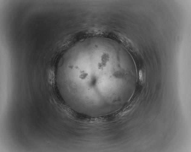 X0000116001203200911251053