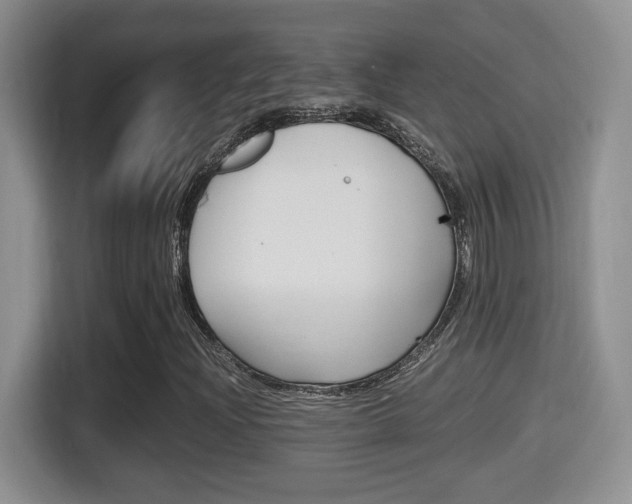 X0000116001204200911251053