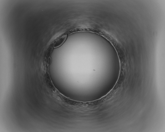 X0000116001207200911251053