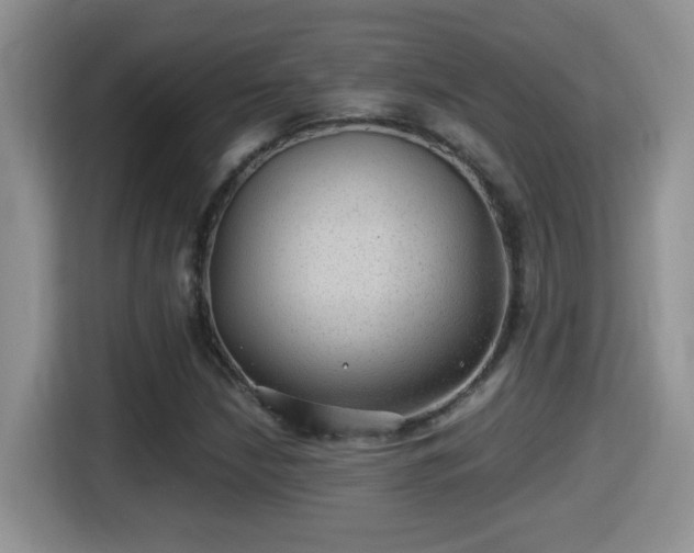 X0000116001210200911251053