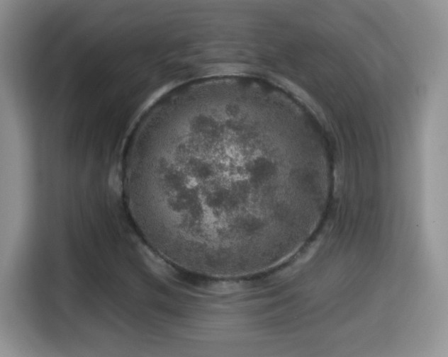 X0000116001212200911251053