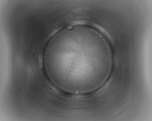 X0000116001217200911251053