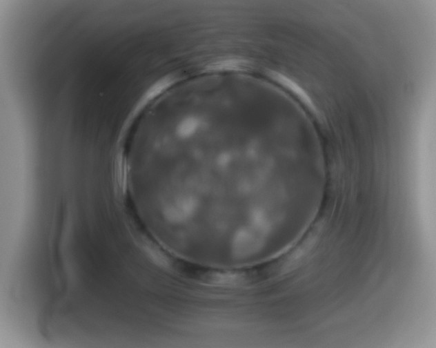 X0000116001219200911251053