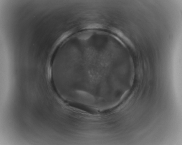 X0000116001221200911251053