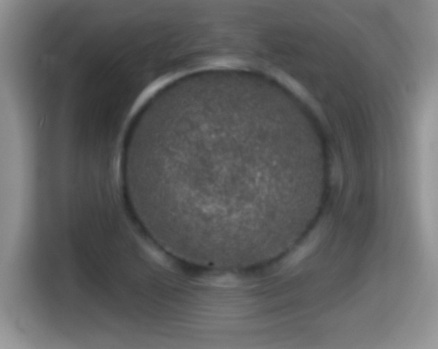 X0000116001222200911251053