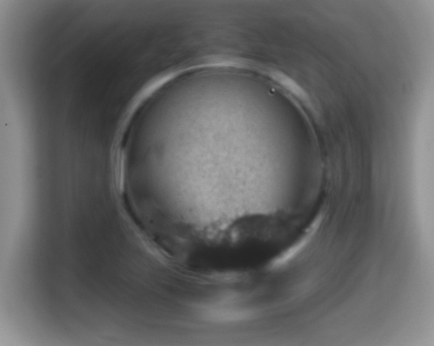 X0000116001223200911251053