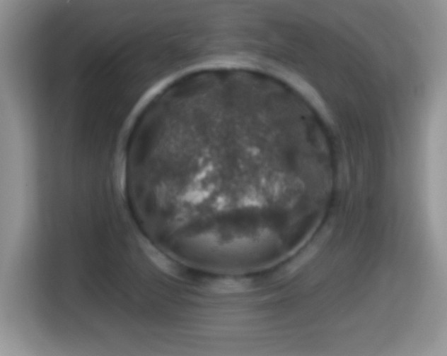 X0000116001224200911251053