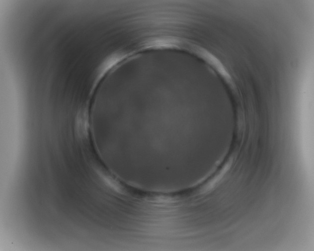 X0000116001226200911251053