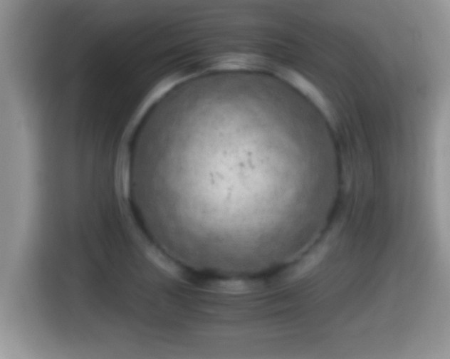 X0000116001227200911251053