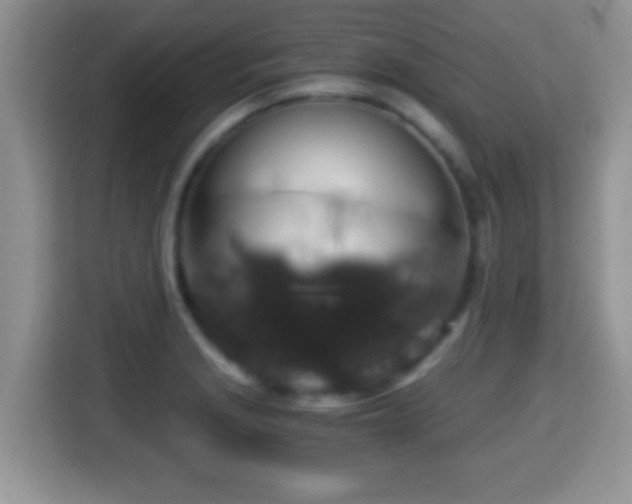 X0000116001229200911251053