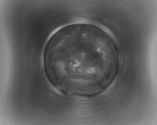 X0000116001230200911251053