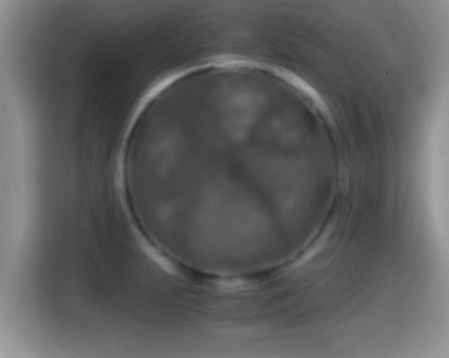 X0000116001231200911251053