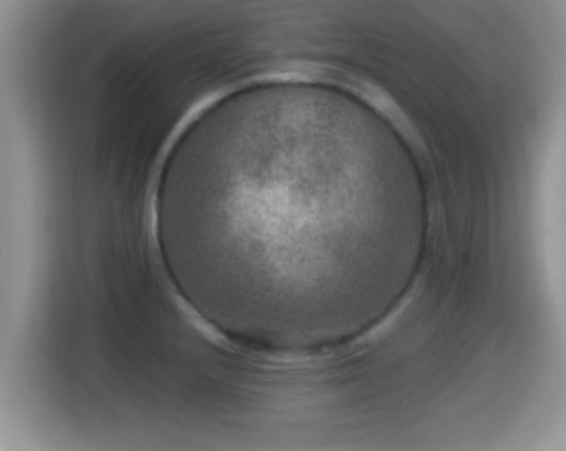 X0000116001232200911251053