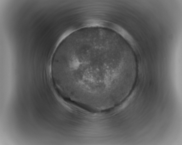 X0000116001234200911251053