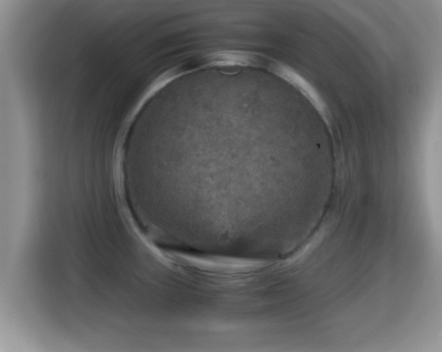 X0000116001235200911251053