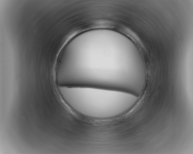 X0000116001236200911251053