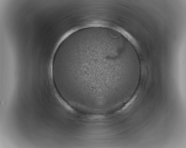 X0000116001238200911251053