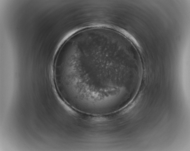 X0000116001239200911251053