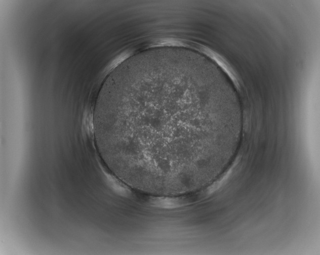 X0000116001241200911251054