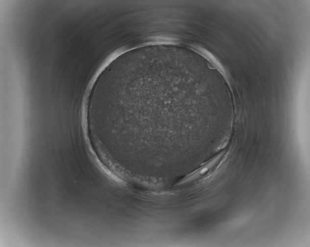 X0000116001243200911251054