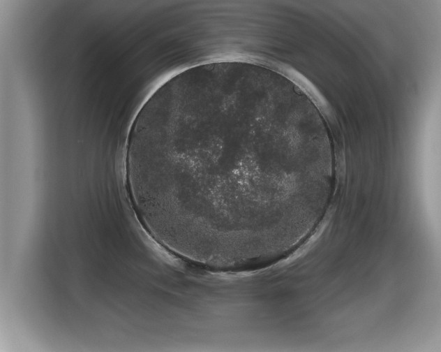 X0000116001244200911251054