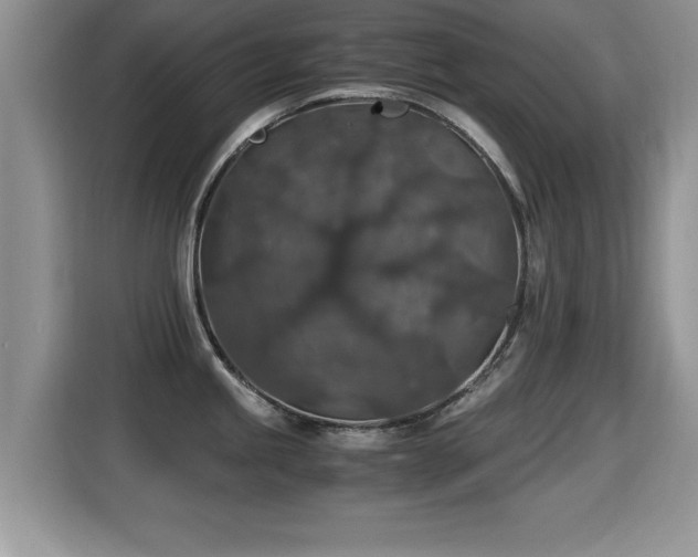 X0000116001245200911251054