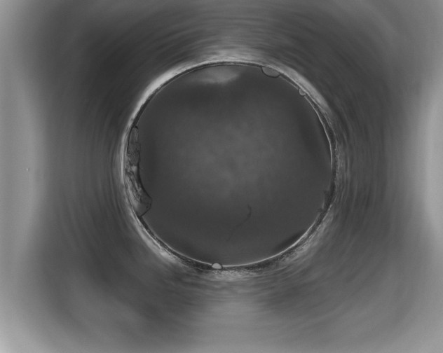 X0000116001246200911251054