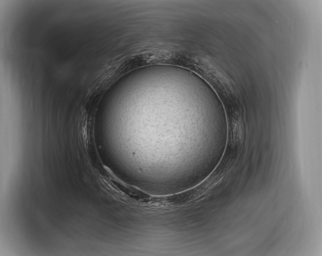 X0000116001250200911251053