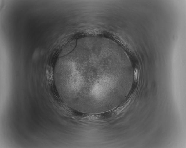 X0000116001251200911251053