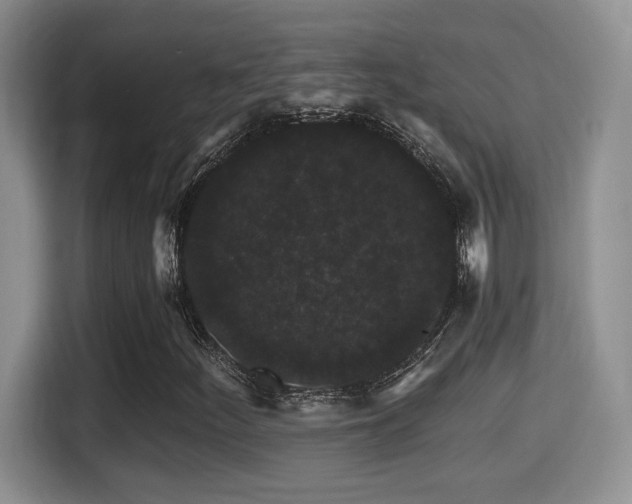 X0000116001252200911251053