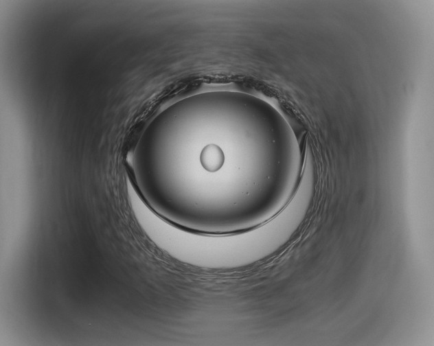 X0000116001253200911251053