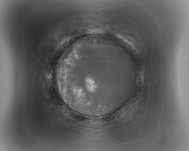 X0000116001254200911251053