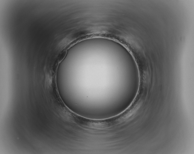 X0000116001257200911251053