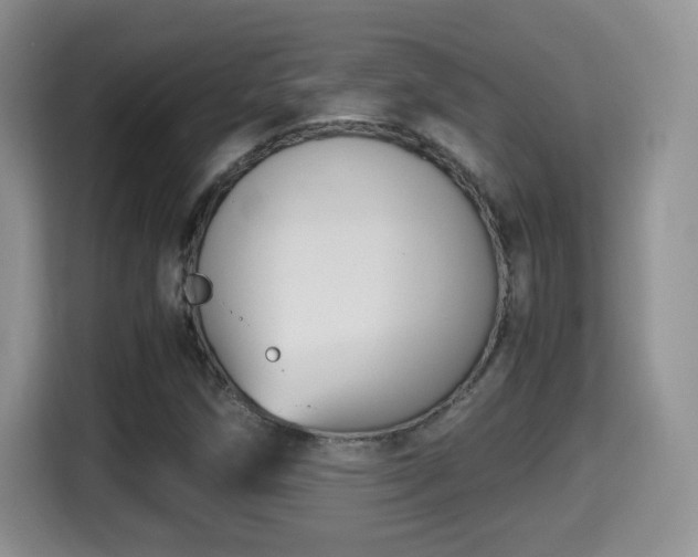 X0000116001258200911251053