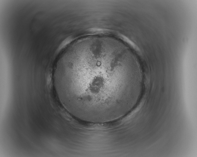 X0000116001259200911251053