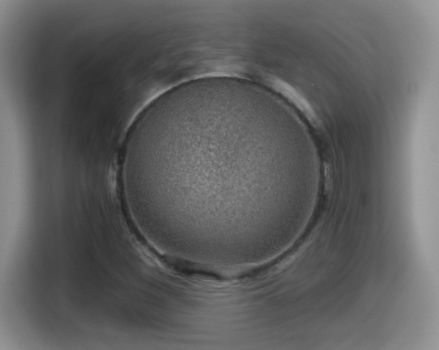 X0000116001260200911251053