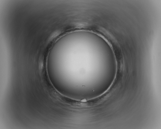 X0000116001261200911251053