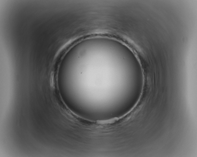 X0000116001262200911251053