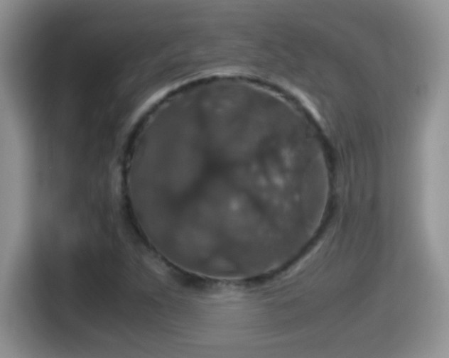 X0000116001263200911251053