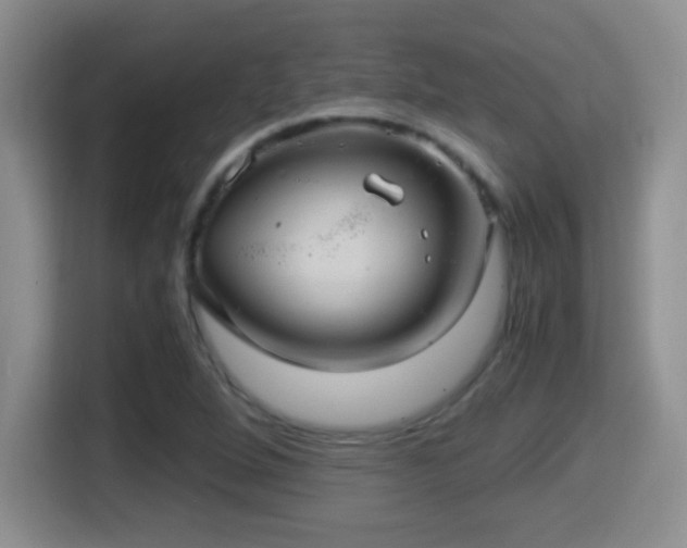 X0000116001264200911251053