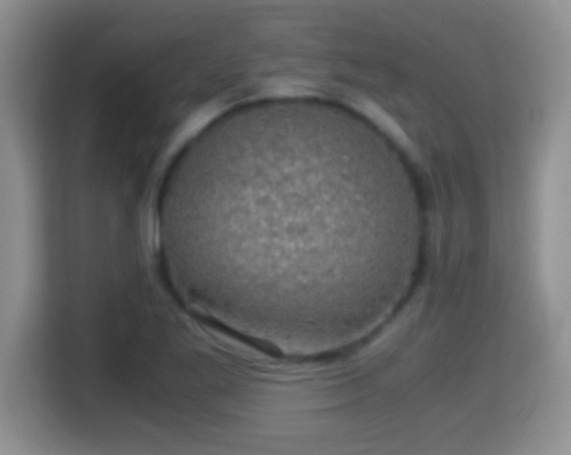 X0000116001269200911251053